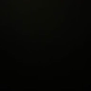 Meet your Posher, Ansley